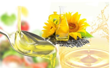 sunflower-sed-continuous-solvent-extraction-plant