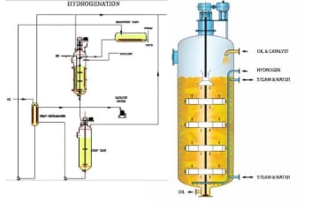 vegetable-oil-hydrogenation-plants